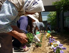 d2015.5.14 2.jpg
